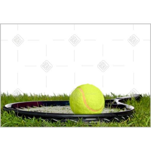 Anyone for tennis? topper - landscape
